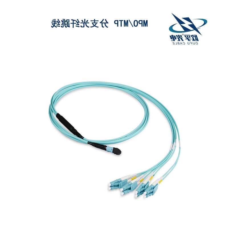 安庆市MPO/MTP 分支光纤跳线