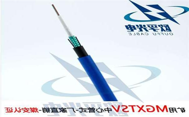 盘锦市欧孚MGXTSV-8B1 矿用单模阻燃光缆G652D纤芯煤安证书